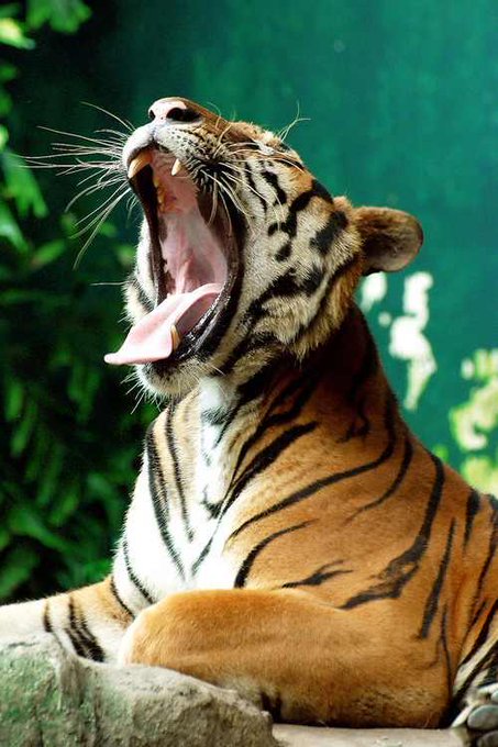 Watch ︻╦╤ー's leaked NSFW photo on TwXstars