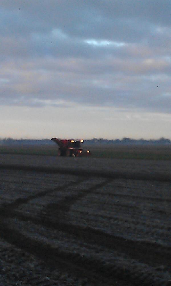 riksteenge's tweet image. Laatste bieten voor 2012