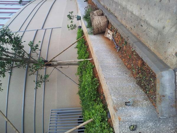 lamlamcasey's tweet photo. I see green and destruction. Which one is correct? @GE3202 http://t.co/IKw5ncOc