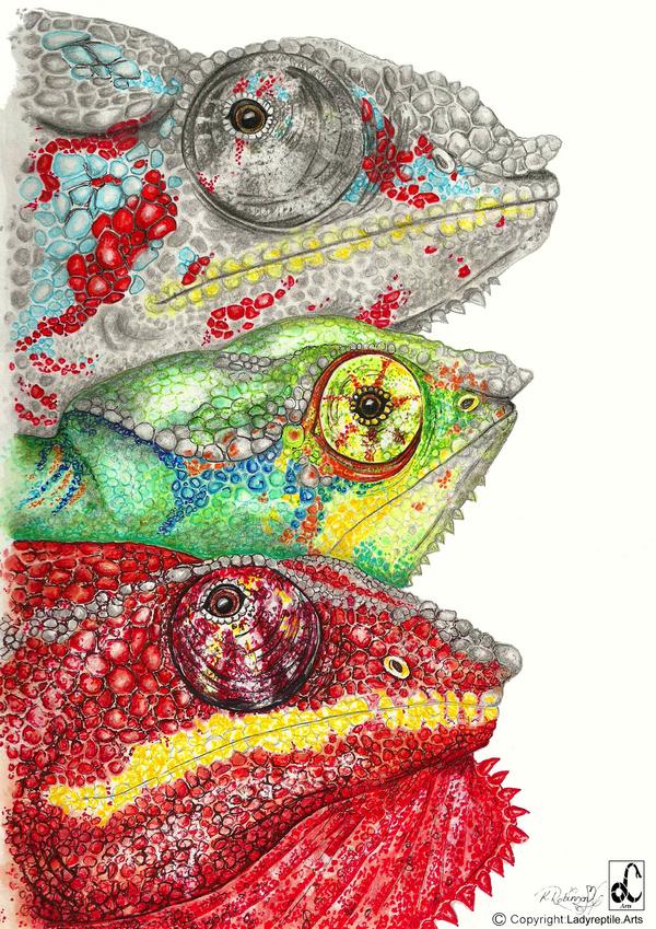 LadyreptileArts's tweet image. just finished these three panther chaneleons...art never stops