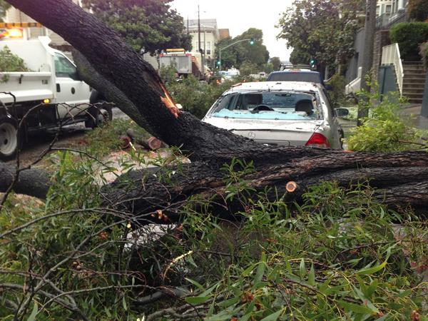 JustineWaldman's tweet image. Tree crushes car #PacHeights #kron4news