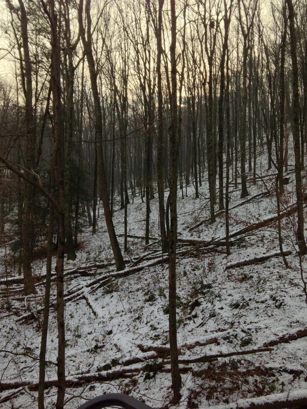 jballz84's tweet photo. Just waiting for a trophy to walk by. Updating from my tree stand. #ineedasaltlick http://t.co/xeA5iho0