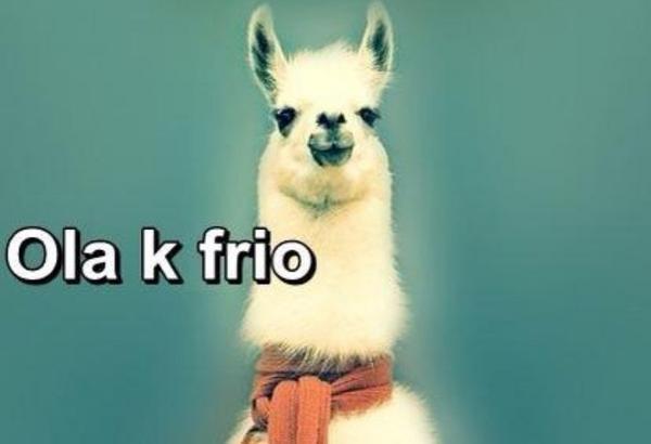 MiniTfCom's tweet image. Si tienes frío como esta llama... ¡Lo mejor que puedes hacer es jugar a MiniTF!  RT *-*