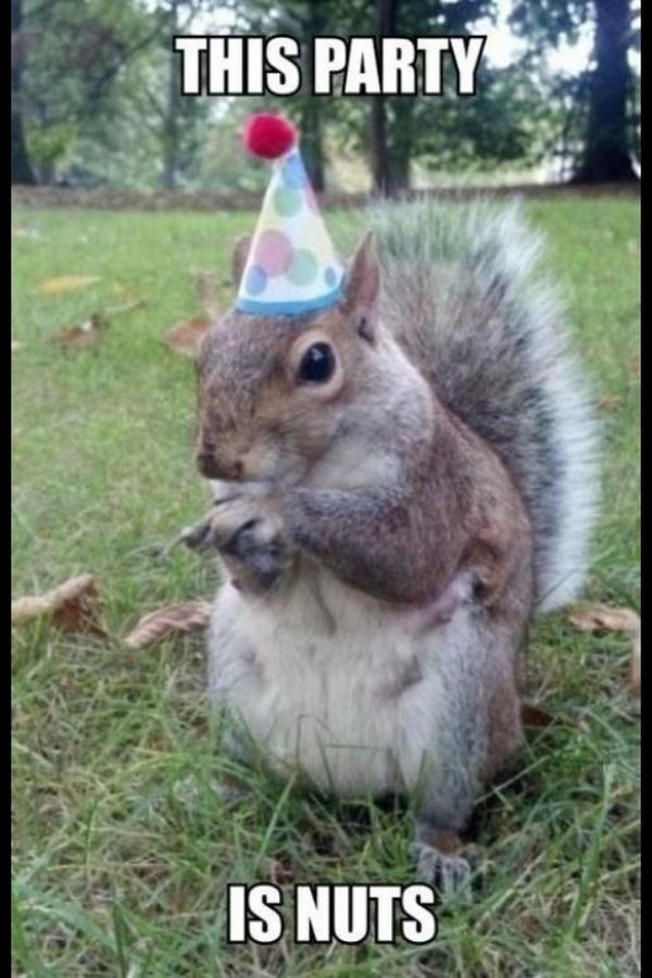 TopperSquirrel tweet picture