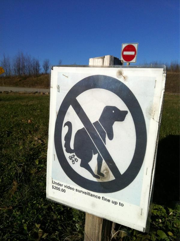 AdamaBaldwin's tweet image. "Dogs shitting cell phones are not permitted on the premises." #Romney2012