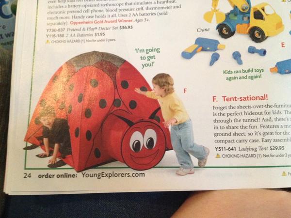 SweetieDevon's tweet image. @dinamanzo @projectladybug i saw this and thought of your sweet ladybugs! #projectladybug