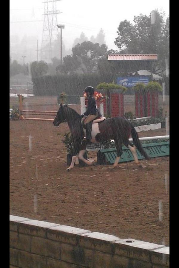 EmilyGraceEms's tweet photo. Competing yesterday in the rain. Won first place 🌟 http://t.co/ZBnEZbzQ