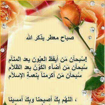 sharefa41 tweet picture