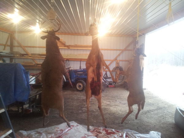 HuntingDaily's tweet photo. Time to catch up on our latest events! We had! Quite a successful rifle season with one buck weighing over 200 dressed! http://t.co/rfz5OrSJ