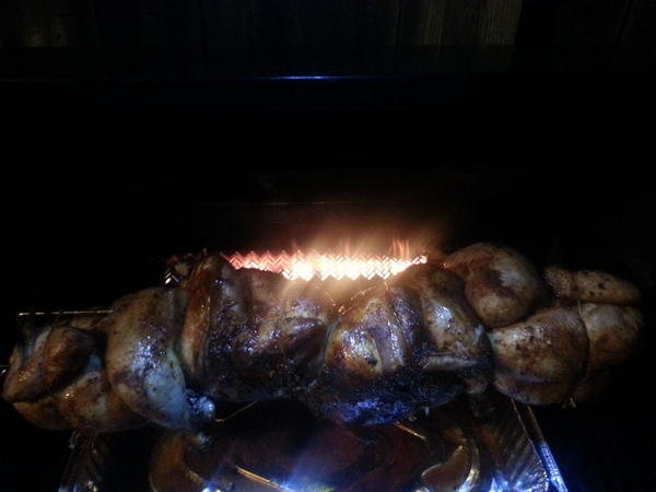 4 chickens just hanging out