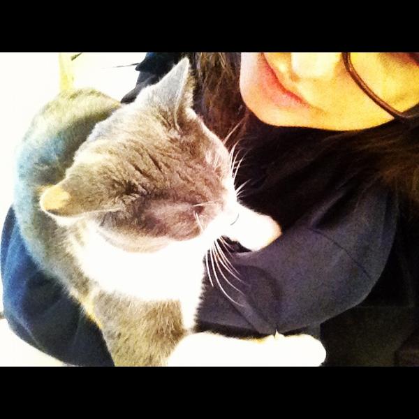 MarioInAction's tweet image. Nazza stayed up with me long enough, finally passed out. #snugglesession 💗