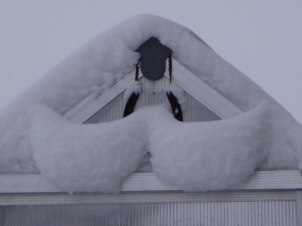 MovemberCA's tweet image. We are seeing Mo's everywhere. Anyone spot any faceless Mo's around town? #MoSpotting