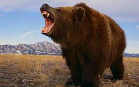 MadMac1764's tweet photo. That dang bear gave me an invection i think i might d- oh false alarm check out this tots adorbs pic awes
#ss7explorers http://t.co/ct5Mxwgj