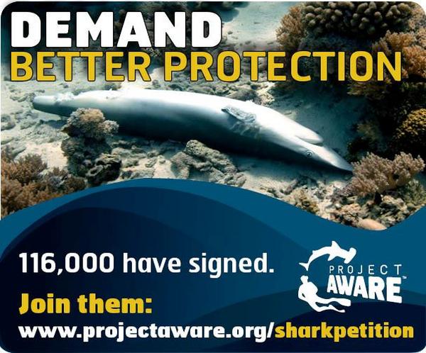 PADI AWARE Foundation tweet media