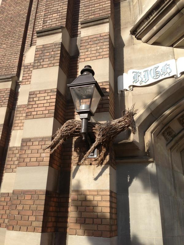 AverySwift13's tweet image. Da Fuck? #WalkervilleProblems  @WalkervilleProb