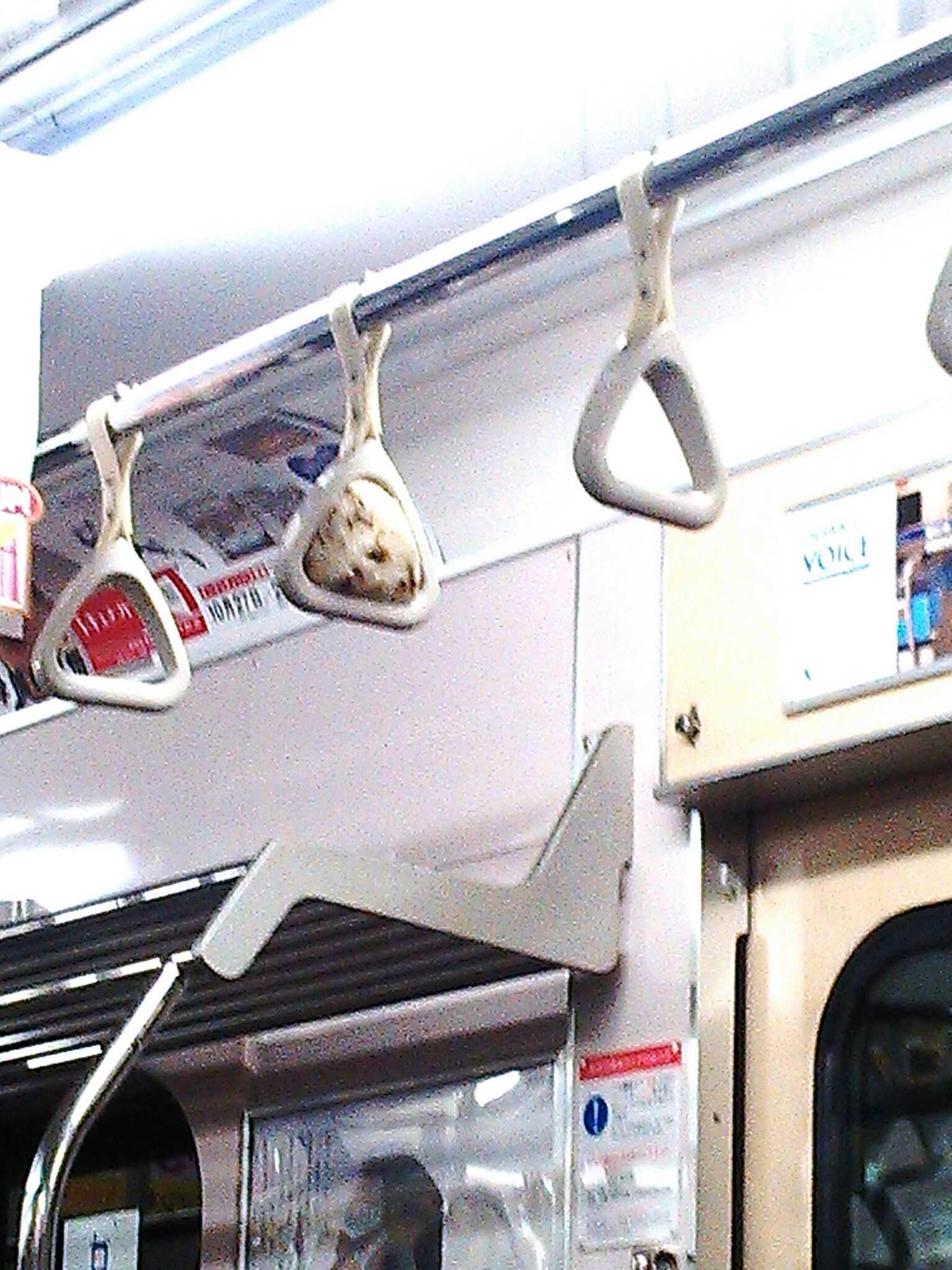電車吊り革 No125 たかが吊り輪、されど吊り輪: ニッポン デジカメ 見て歩き