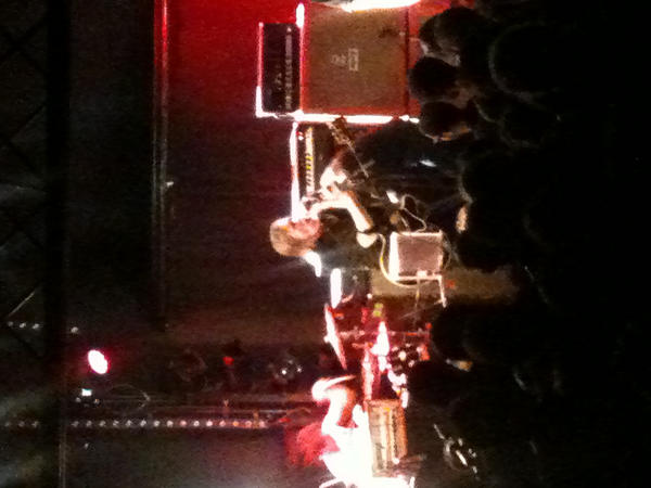 I see it all #swans #theseer