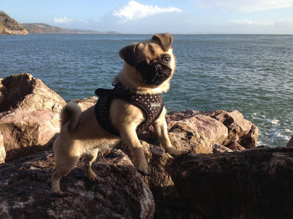 Funkitdesign's tweet image. @F_iDesign @BBCR1 #somethingcute