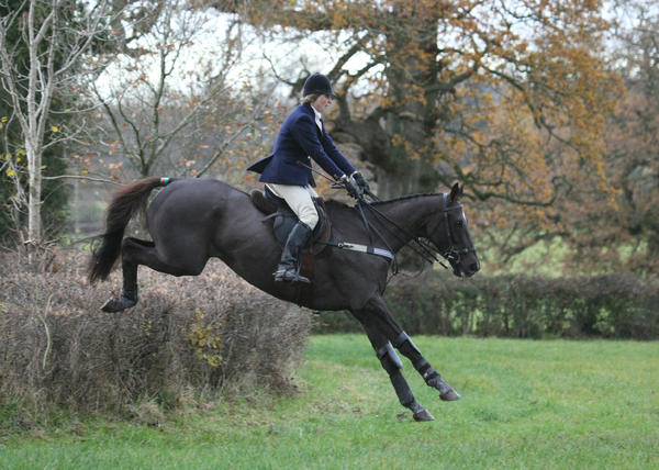 TheRealDenman's tweet photo. “@PFNicholls: Denman enjoying his new life. http://t.co/D4O1TinV” Damn I look good. When is the Hennessy? Neigh