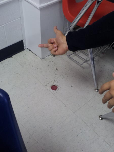 austinwebrink's tweet image. Ants in the classroom.. #PRPProblems