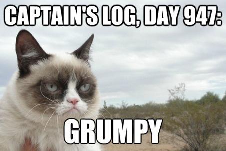 GrumpyCatReal tweet picture