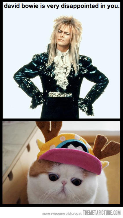 funnyquotedaily's tweet image. New Funny Picture: So disappoint…