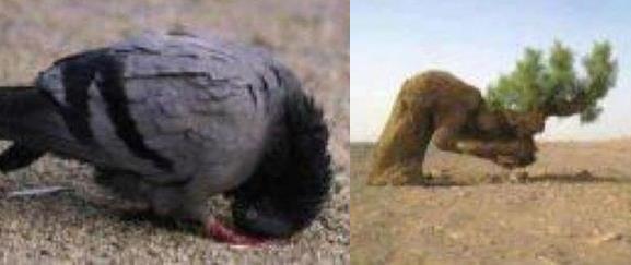 manjadda wajada , pasti kau bisa melakukan nya, ciptaan allah, gk mungkin yang tidak bisa dilakukan...