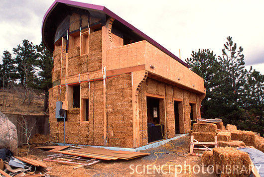 PaulZTest's tweet image. an image Siaudu Namas