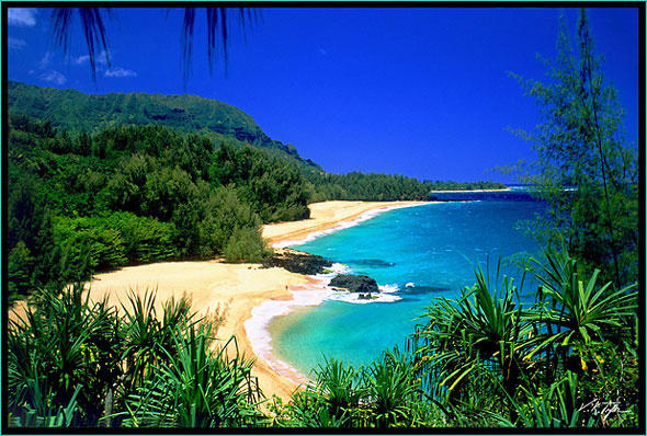 TravCorpMarkTO's tweet photo. Name some of your favourite #beaches you've chilled on..... #Lumahai Beach #Kauai #Hawaii http://t.co/71z4L6EV