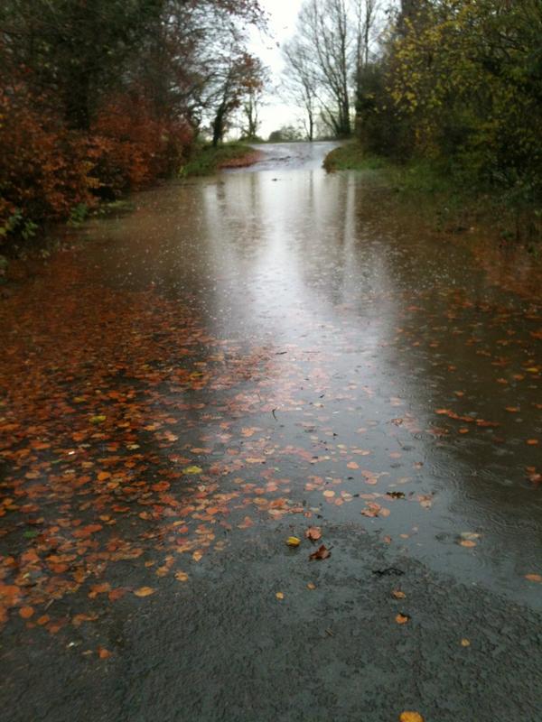 craner93's tweet image. The reason im flooded in #fancyaswim?