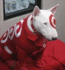 targetdog1's tweet photo. Hey look! Its me again-woof- http://t.co/SsR1PIuC