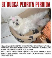 FCgrachiarg's tweet photo. @fundapegate http://t.co/vUj1TScW