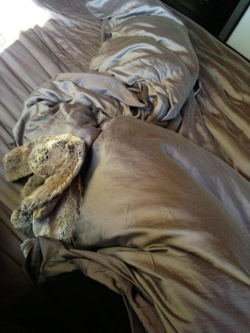 Sometimes I wish my bed wasn&rsquo;t so comfortable and warm.. I would be about 99% more productive. http://t<a href="/tag/portlandmaine"class="tags"><span>#portlandmaine</span></a><a href="/tag/michelinstar"class="tags"><span>#michelinstar</span></a><a href="/tag/jamesbeard"class="tags"><span>#jamesbeard</span></a><a href="/tag/portlandmainefoodies"class="tags"><span>#portlandmainefoodies</span></a>