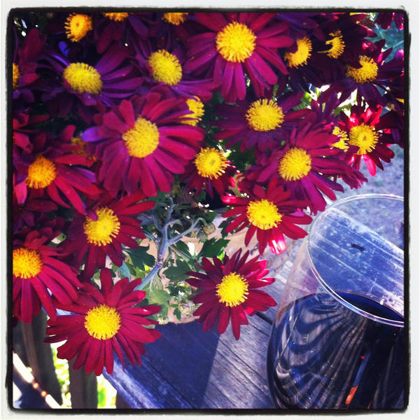 Just a quick reminder that we will be closed November 22 for Thanksgiving. We hope everyone has a wonderful holiday!