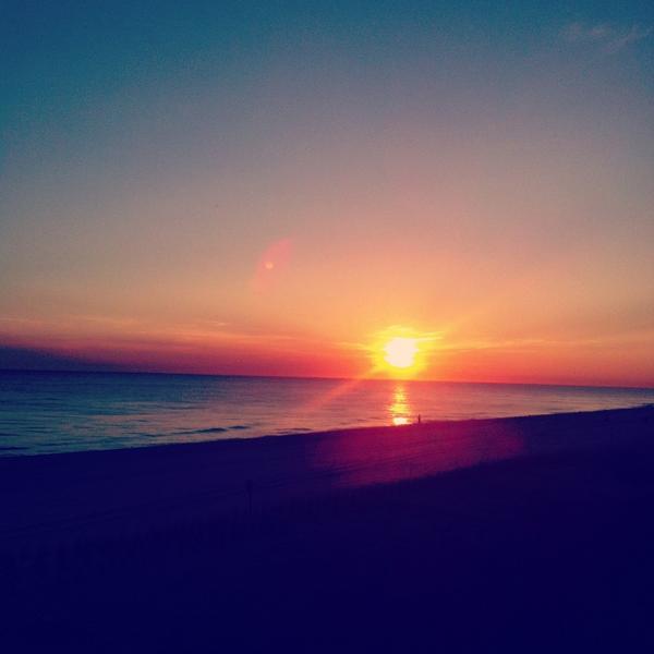 Amanda Cunningham tweet media