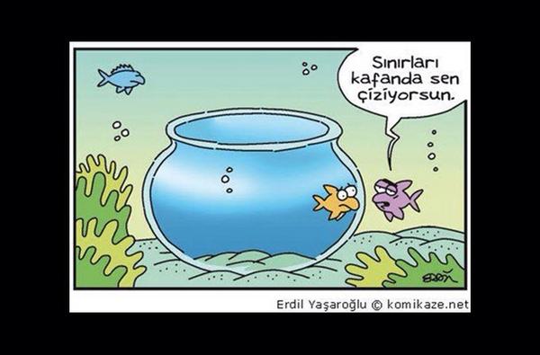 Onur (@morikandante) on Twitter photo 