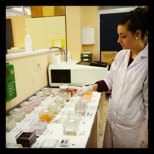 chimi_noia's tweet photo. @alba_6211 de prácticas!! Ke bien te keda la bata http://t.co/GvLUm2uk