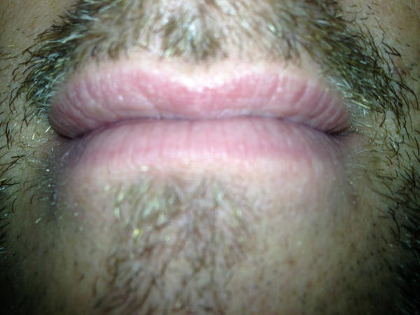 #KnowTheMo Who is The Tram Line Mo No9? tinyurl.com/cnclllv  <a href="/Movember/">Movember USA</a> Get Guessing - Entry Forms at Reception