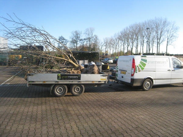 Gister nog in Gelderland en nu alweer bij ons klaar om geplant te worden. snelle actie #udenhout #boomkwekerij.