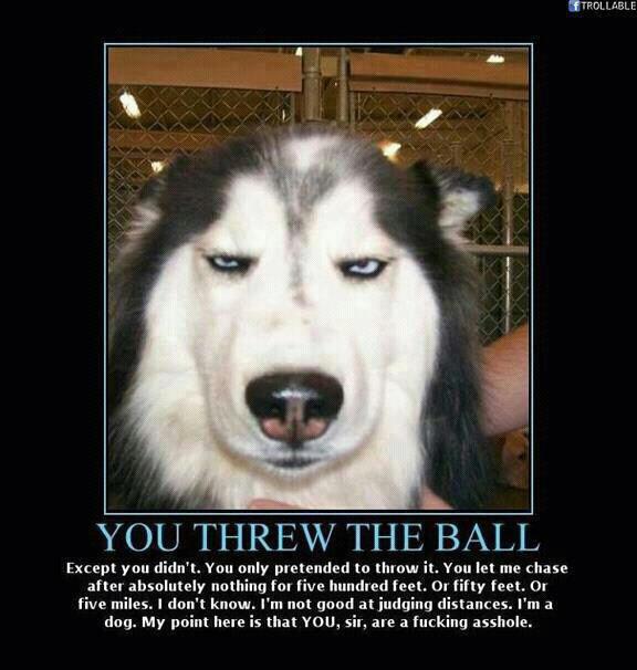 Basi_cally's tweet image. #ThingsMyDogWouldSay