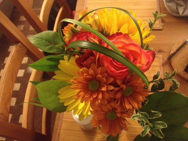 Lucky girl #wisdomless #je