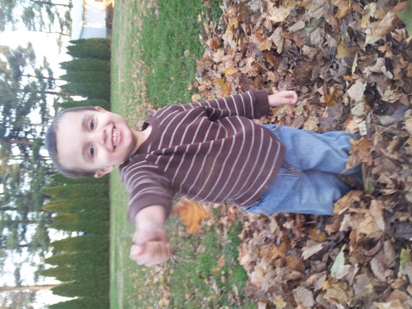 ehuff94's tweet image. Skyeman playing in the leaves! #sogrownup #miss him!