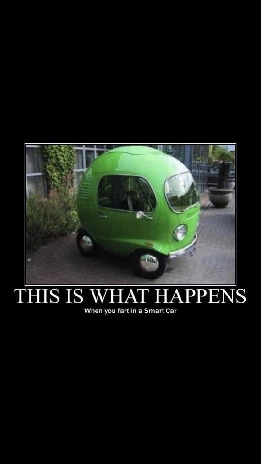 Scott Hillstrand (@hillstrandscott) on Twitter photo 