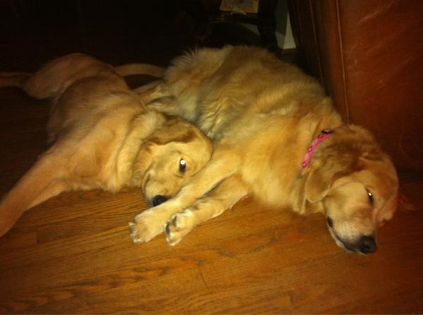 boland_zach's tweet photo. Happy to be home with my girls... http://t.co/BeNN7EG2