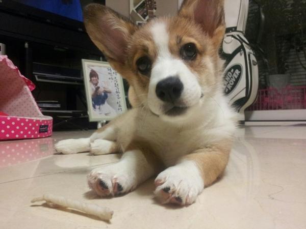 jeomreah's tweet photo. 나도 항상 아빠를 응원하고 있어요~~!!! http://t.co/V3tGUH8P