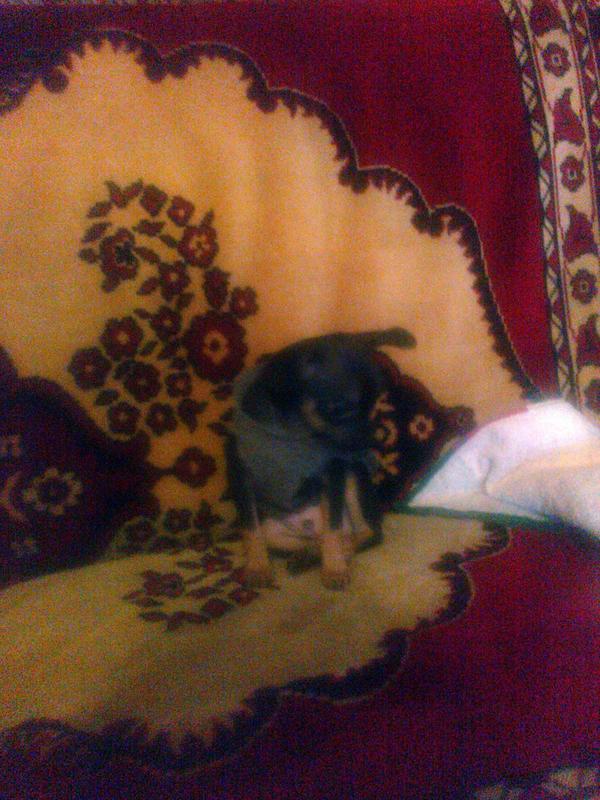 TR_GROG's tweet image. 