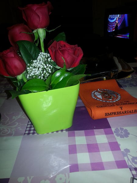 mnx87's tweet photo. @Cris_RiG @Leti_GF @Vvalop gracias por mis floresss y por todooo, sois las mjores http://t.co/JRRZLzVV
