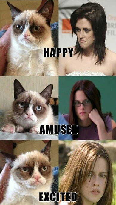 TardGrumpyCat's tweet image. #MemoriesIWontForget All those times Kristen Stewart copied me...