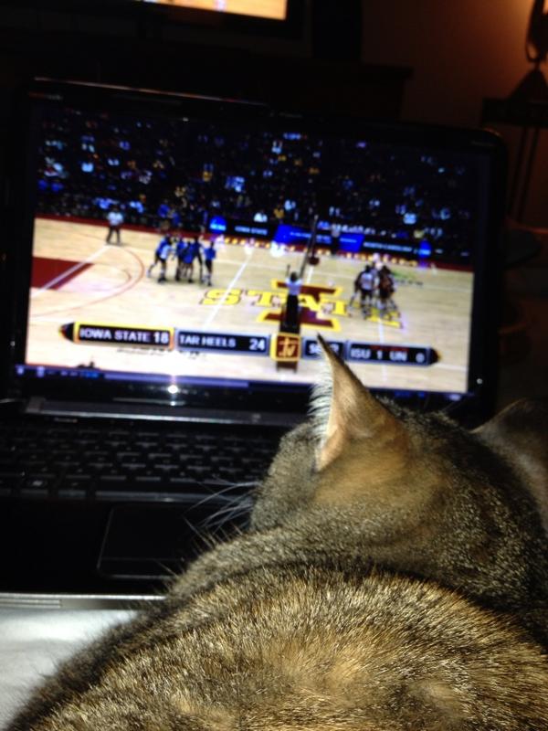 Checking out some <a href="/CycloneVB/">Iowa State Volleyball</a>! Lets go state!