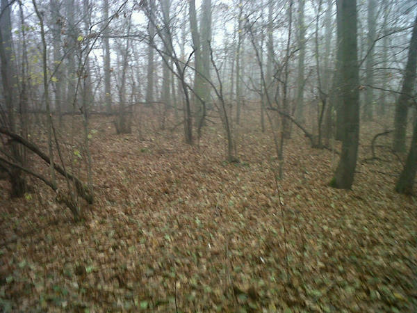 javiC7's tweet photo. El otro dia me senti como la easy company en bastogne!!Mucha tela el frio y el sitio! http://t.co/bEKz2Vpv